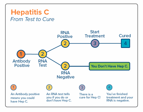 Hep C: From Test to Cure card.