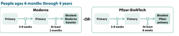 Flow chart for COVID-19 Vaccination Schedule for people who are NOT moderately or severely immunocompromised 